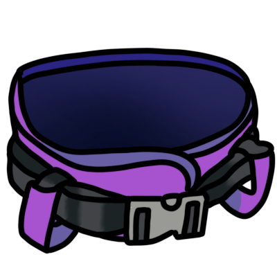 a purple gait belt.